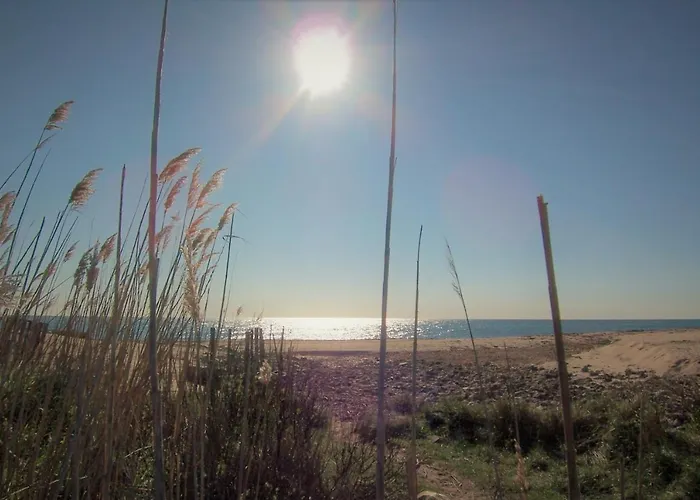 Chiola-plage à Pieds-clim Appartamento